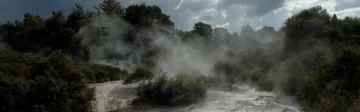 Things to Do in Rotorua in Winter